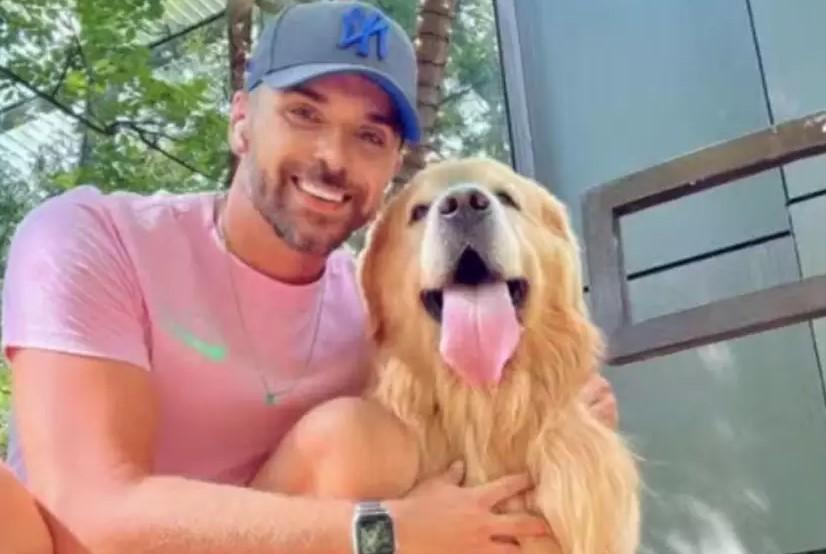 Cão é levado para Estado errado e morre após falha em transporte da Gol; VÍDEO