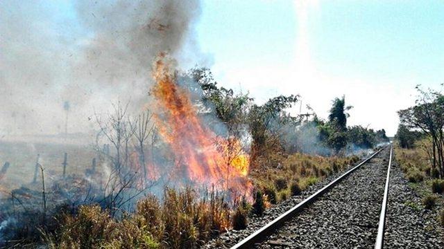 Empresa de trem é condenada por incêndio em sítio