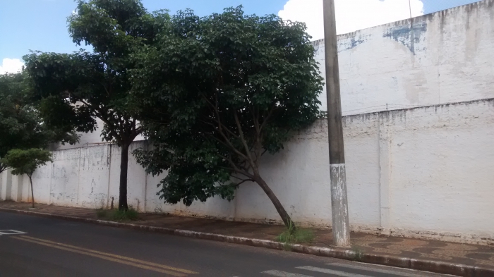 Jales - 