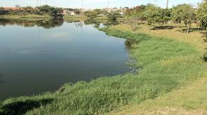 Rapaz morre após mergulhar e bater com a cabeça no fundo de lagoa Acidente foi no dia 15 de março em uma fazenda em Valparaíso (SP). Rapaz chegou a ser socorrido pelo amigo, mas morreu neste domingo (20).