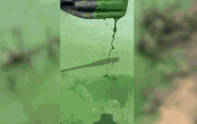 Rio Tietê vira 'tapete verde' ao ser tomado por aguapés no interior de SP