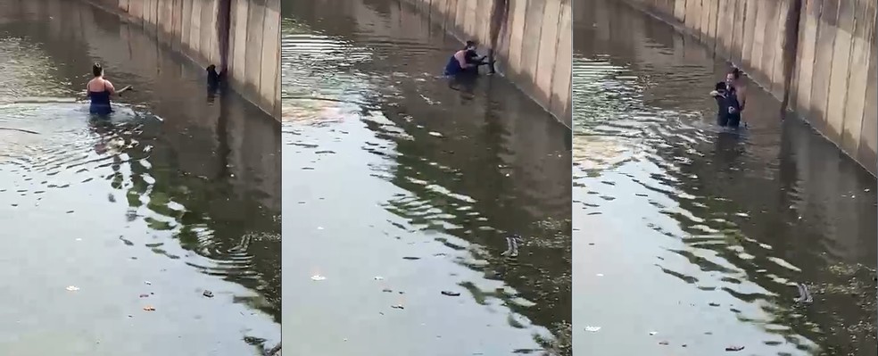 Mulher se arrisca para salvar cachorro que se afogava em 'piscinão'
