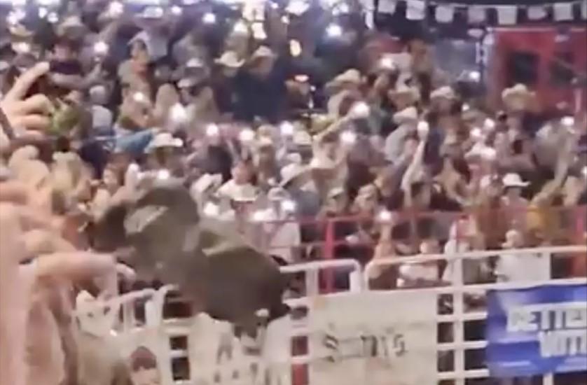 Touro pula grade da arquibancada do rodeio e fere 3; VÍDEO