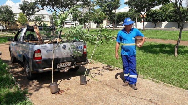 Saev Ambiental realiza plantio de novas mudas em praças de Votuporanga