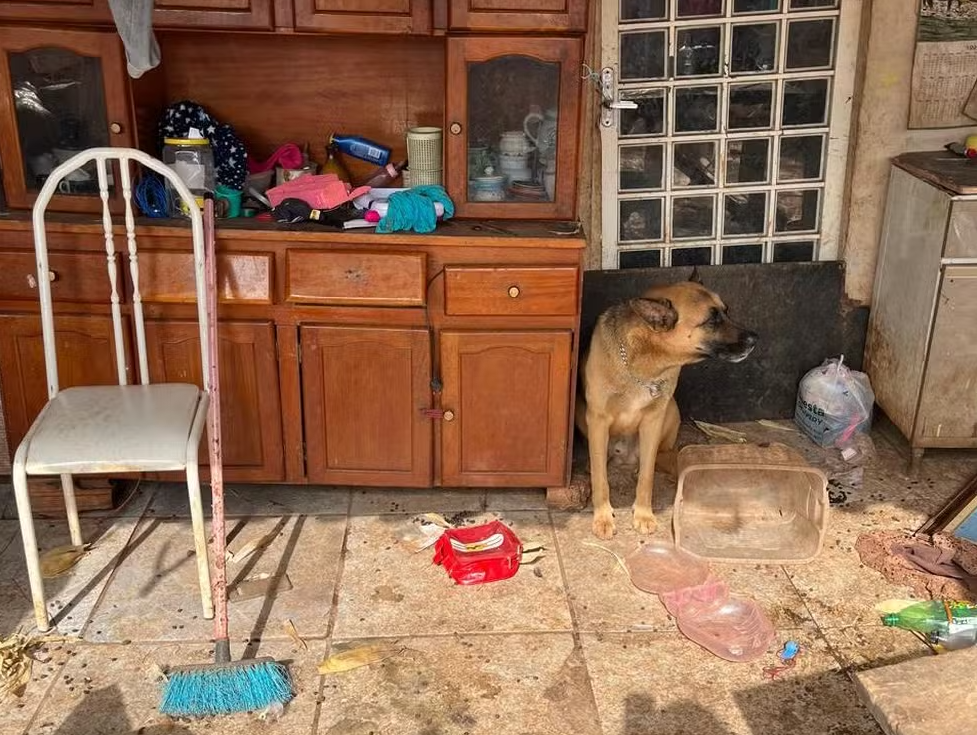 Polícia encontra animais em situação insalubre no interior de São Paulo