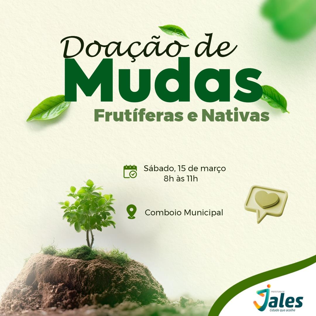 Doação de mudas frutíferas e nativas movimenta Jales neste sábado 15