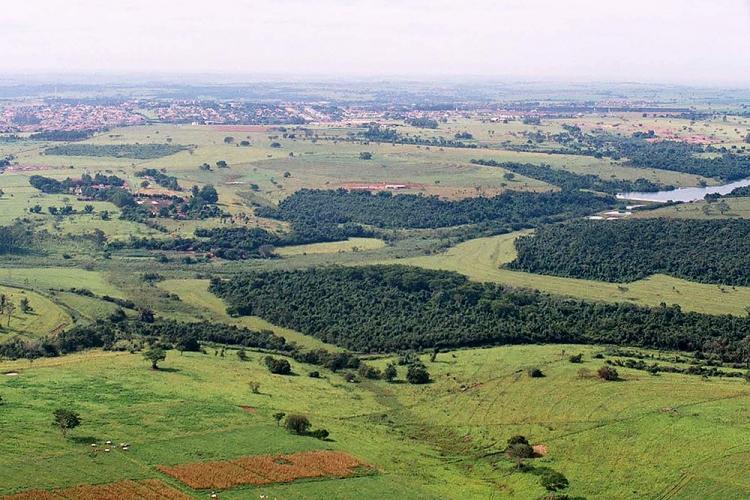 Alvo de polêmica, parte da Floresta do Noroeste Paulista é coloca à venda por Doria
