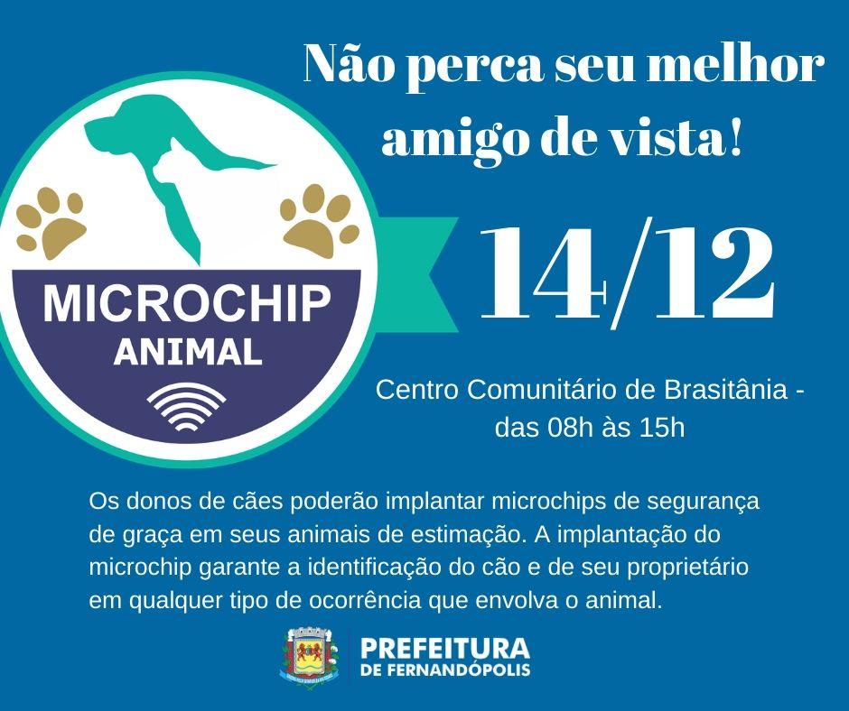 Microchipagem de cães acaba neste domingo em Brasitânia
