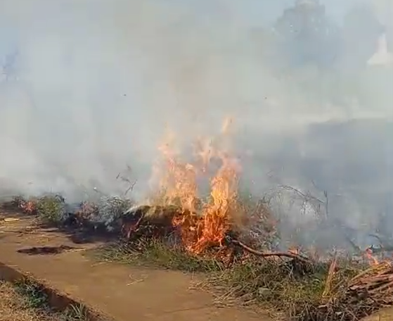 Bombeiros combatem queimada em avenida de Fernandópolis