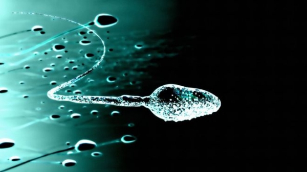 Alternativa à vasectomia, gel contraceptivo masculino é aprovado em testes com macacos